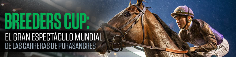 Breeders Cup: El gran espectáculo mundial de las carreras de purasangres
