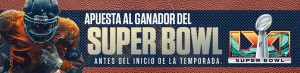 Apuesta al ganador del Super Bowl antes del inicio de la temporada