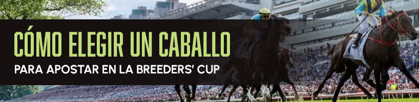 Cómo elegir un caballo para apostar en la Breeders’ Cup