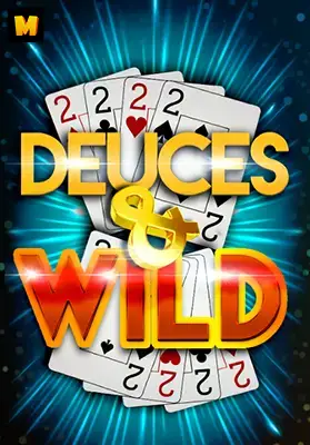 Play Deuces R Wild Multi Casino Game