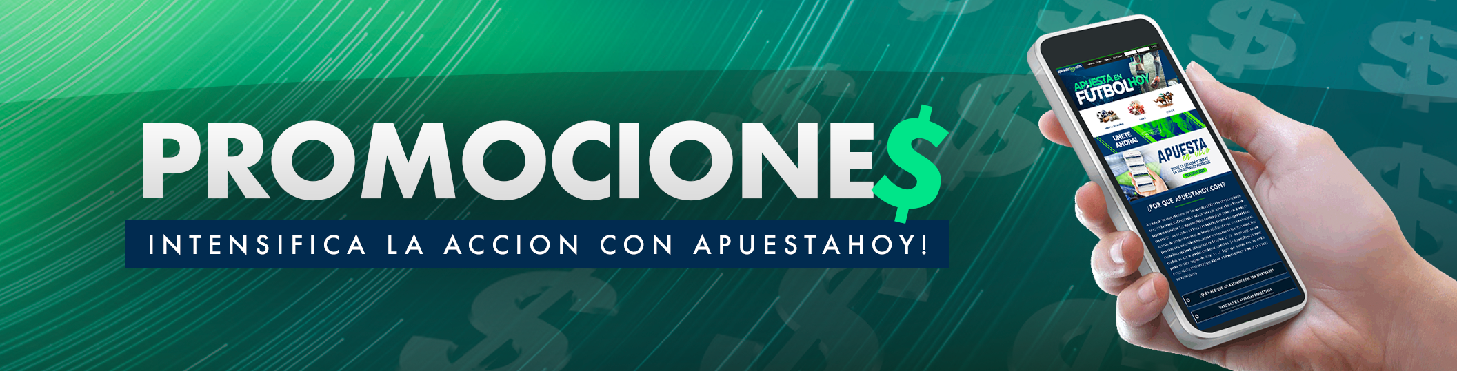 Banner Lineas